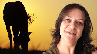 DESENVOLVIMENTO HUMANO COM SILVIA DAMICO
